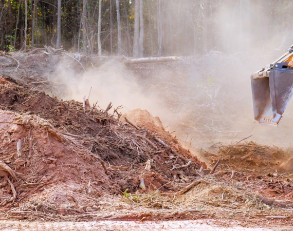 Land Clearing & Property Cleanup 2 Hephzibah GA