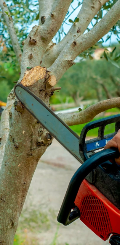 property upgrade hephzibah GA home 1